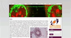 Desktop Screenshot of derminova.dote.hu